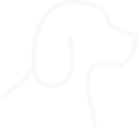 dog line shape